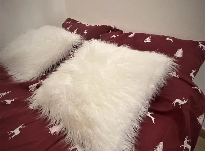 Apartamento Casa - Bilocale In Centro A